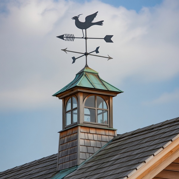 Weather vane on cupola with bird silhouette against sky